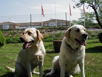 P1010039